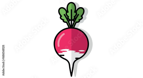 Fresh Radish Vegetable with Green Leaves Illustration.