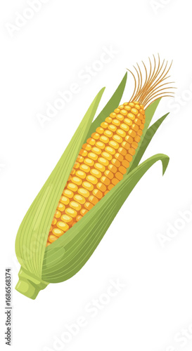 Fresh yellow corn on the cob with green husks.