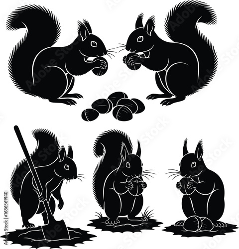 Squirrel silhouette set, gathering and burying acorns, forest animal behavior vector for nature, storytelling, anatomy, and design reference