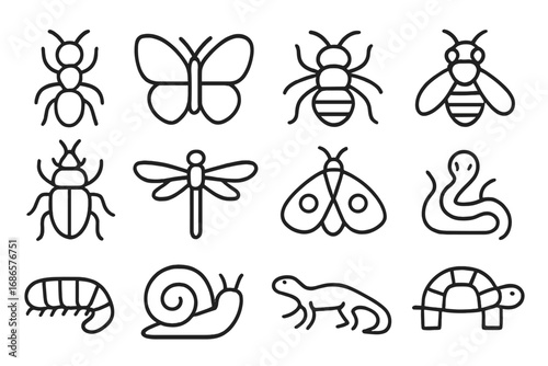 Insect and reptile outline icon set. Minimalist line art animal collection with butterfly, bee, ant, snake, turtle, snail. Vector logo symbols for nature and wildlife projects.