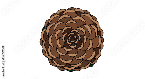 Pine Cone Isolated on White Background.