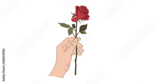 a single rose a tender offering of ephemeral beauty, isolated on transparent background