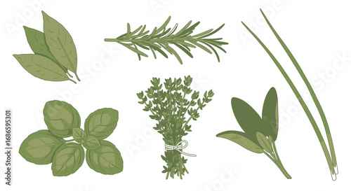 culinary herbs aromatic garden bounty, isolated on transparent background