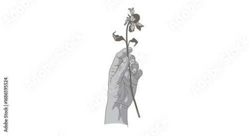 ephemeral beauty a hand holds a withered flower, isolated on transparent background