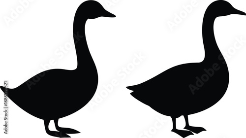 Two black waterfowl silhouettes, minimalist vector graphic, simple shapes, high contrast black and white, flat design, digital illustration
