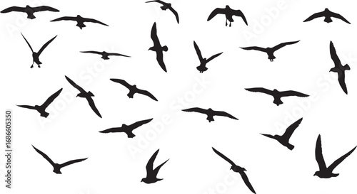Black silhouettes of a flock of seagulls flying, captured in various poses, showing different dynamic motions and graceful movements in the air