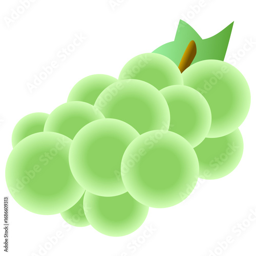Grape with leaf icon vector