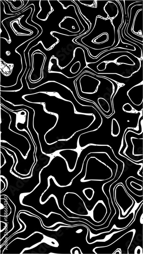 Abstract Black and White Topographic Pattern