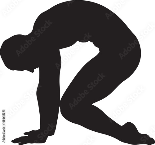 Black silhouette of a flexible person performing a cat pose, a popular yoga and stretching exercise for spine mobility and relaxation