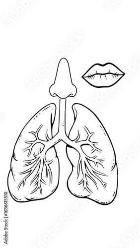 Detailed lungs, nose, and mouth illustration symbolizing respiratory health and breathing