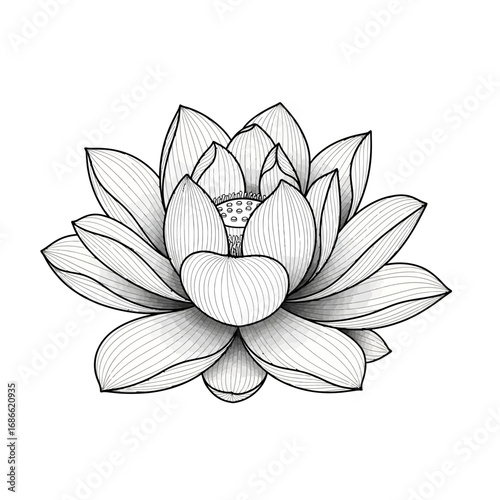 Elegant lotus flower tattoo design representing purity and growth.