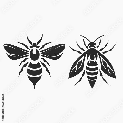 vector illustration of a wasp