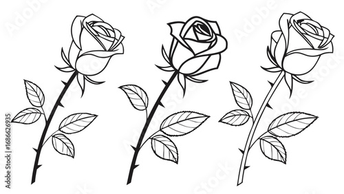 Three elegant rose flowers with leaves and thorns in a line drawing style.
