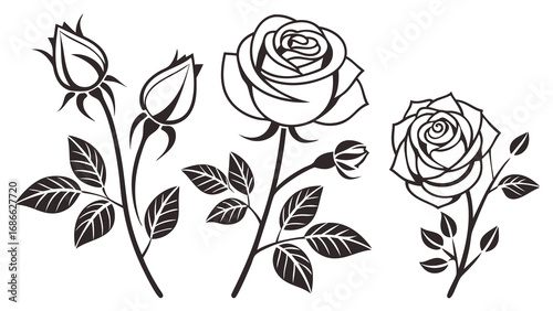 Elegant rose illustrations showcasing floral beauty and botanical artistry in black and white.