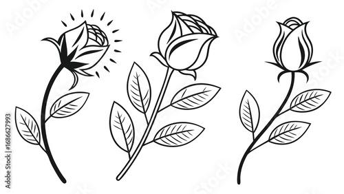 Three hand-drawn rose buds with stems and leaves in black and white.