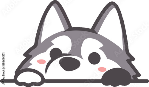 Playful Husky Peek: A charming illustrated husky with a fluffy grey and white coat, adorably peeking over an unseen surface, showcasing the dog's curious nature and endearing expression.