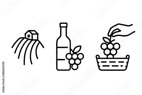 Wine production outline icon set, vineyard farming, grape harvest, wine bottle with grape cluster, linear vector cartoon illustration, transparent background, vineyard icons