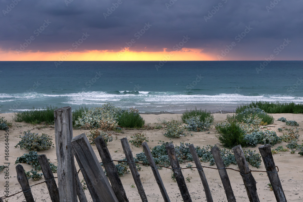 Obraz premium La plage