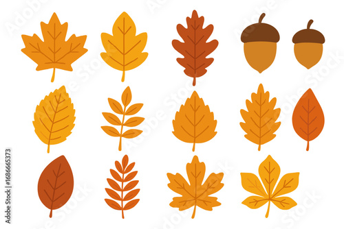 Autumn leaves vector icon set. Colorful fall foliage and acorn collection. Flat cartoon illustration pack of maple, oak, chestnut, rowan leaves. Isolated seasonal elements.
