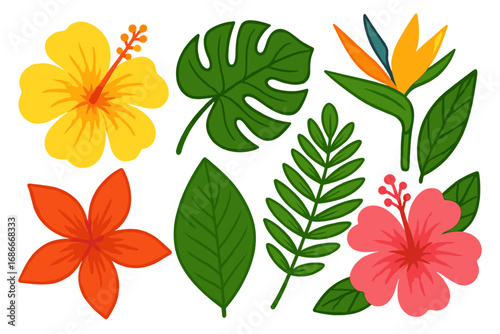 Tropical flowers and leaves set vector illustration. Botanical collection with hibiscus, monstera, plumeria, bird of paradise. Exotic summer jungle floral design elements.