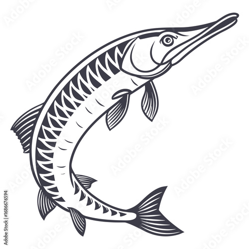 Artistic monochrome illustration of a Northern Pike fish, showcasing its distinctive elongated body and sharp teeth, perfect for wildlife and fishing themes