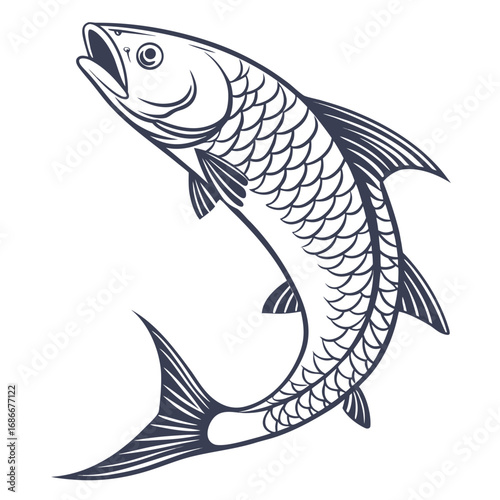 Detailed illustration of a moonfish in mid-air, showcasing shiny scales against a white backdrop