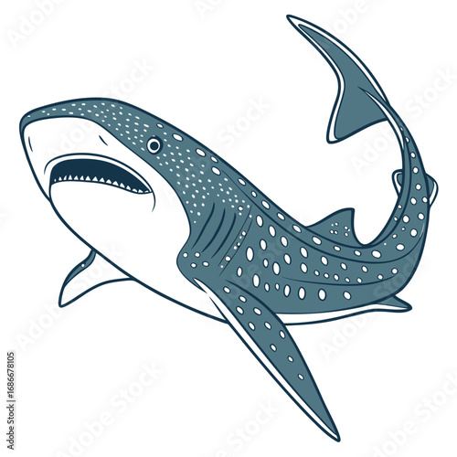 Detailed Illustration of a Whale Shark Swimming Upwards, Isolated on White