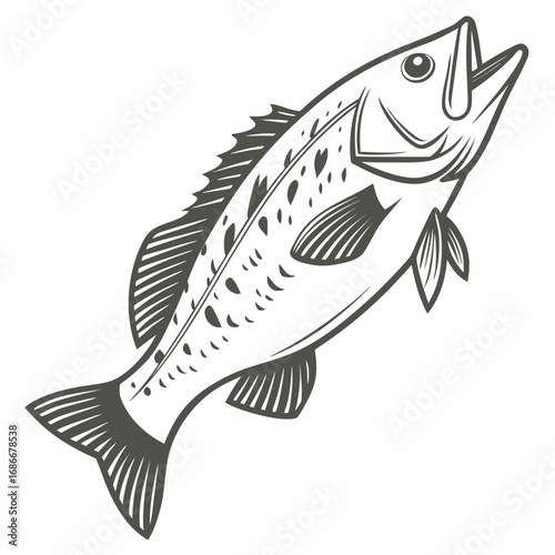 Detailed Black and White Illustration of a Bass Fish in Vector Art, Ideal for Design