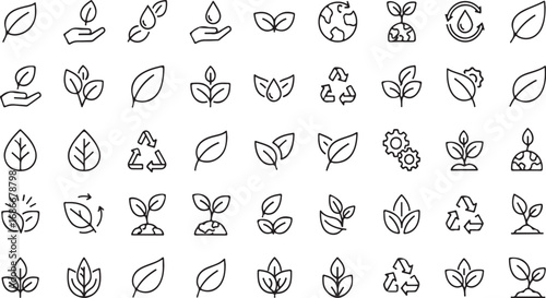 Hand drawn organic leaf icons and symbols collection for natural branding and eco-friendly design elements vector