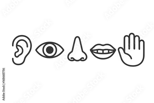 Sensory organs line vector icon set featuring ear, eye, nose, mouth, and hand in minimalist design, cartoon style, transparent background, medical and anatomy illustration