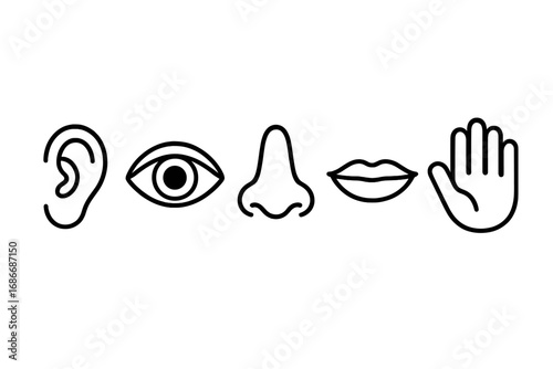 Minimalist Sensory Organs Vector Icons Featuring Ear, Eye, Nose, Mouth, and Hand in Clean Line Art Style for Medical and Educational Concepts
