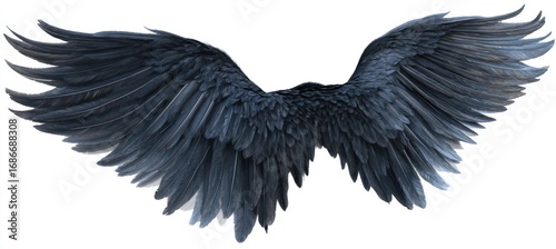 Pair of spread, textured gray wings. Individual feathers are visible, fanning outwards with slight curvature. Image has a transparent background