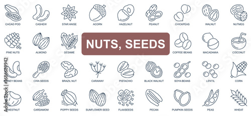 Nuts and seeds concept simple line icons set. Pack outline pictograms of cacao pod, cashew, walnut, acorn, hazelnut, peanut, coffee beans and other. Symbols for website and mobile app design.