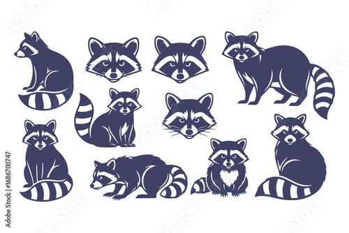 Raccoon vector illustration collection. Collection of stylized vector illustrations of a woodland animal in various poses.
