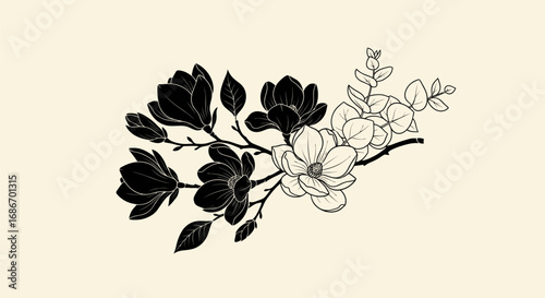Elegant botanical illustration of black and white magnolia flowers on a branch.