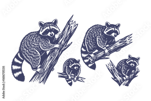 Cute raccoon character vector set. Collection of cartoon wildlife mascots in various playful poses.