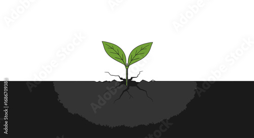 resilience a seedlings triumphant emergence, isolated on transparent background