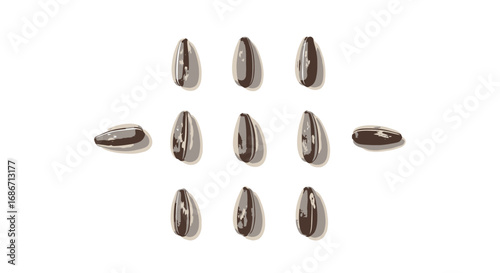 the lone sunflower seed a minimalist still life, isolated on transparent background