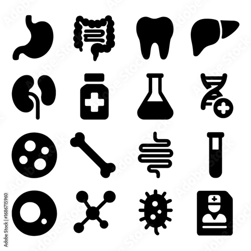 Essential Health: Simplified silhouette of a medical and health array including human anatomy, and medical supplies for healthcare and scientific imagery. 