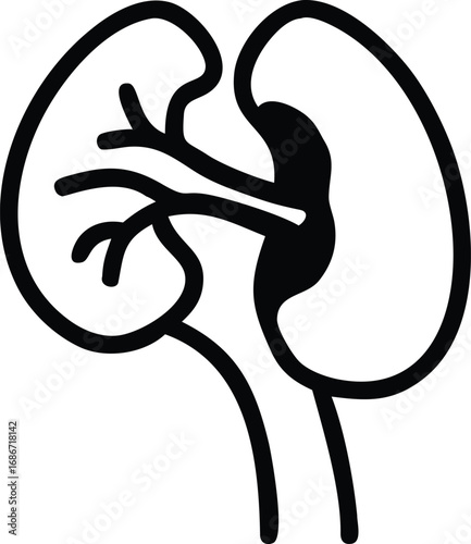 kidney outline icon on white background
