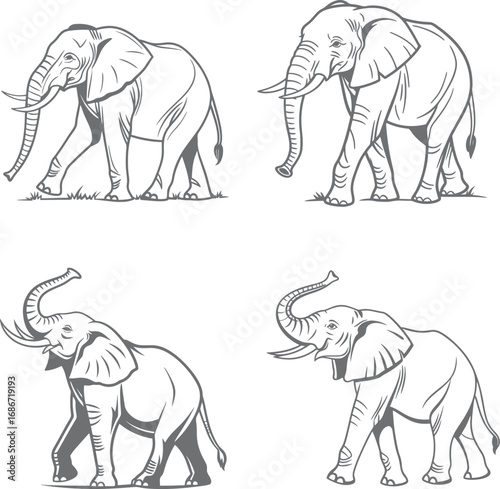 Elephant Vector Collection Detailed Line Art Illustrations of an African Elephant

