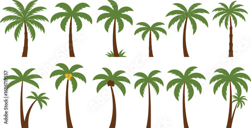 Collection of ten cartoon palm trees with varied foliage and trunks Keywords: palm tree, tropical