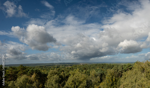 Cumulus clouds over a forest