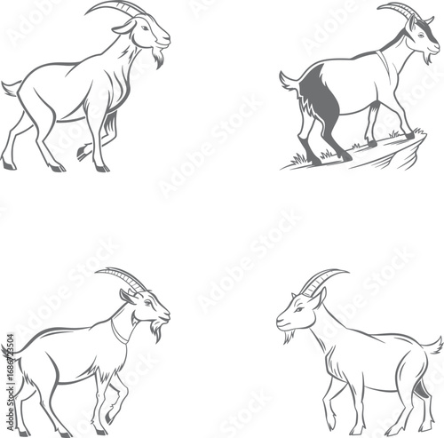 Set of Goat Vector Collection Detailed Line Art Illustrations of a Farm Animal

