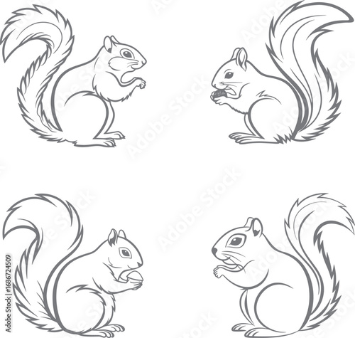 Set of Squirrel Vector Collection Detailed Line Art Illustrations of a Cute Forest Animal

