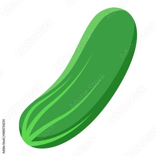 cucumber vector illustration