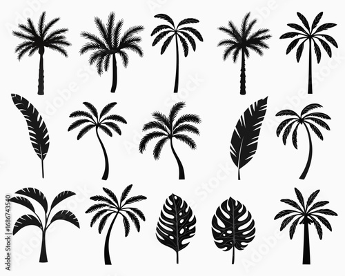 Collection of black silhouette palm trees and tropical leaves