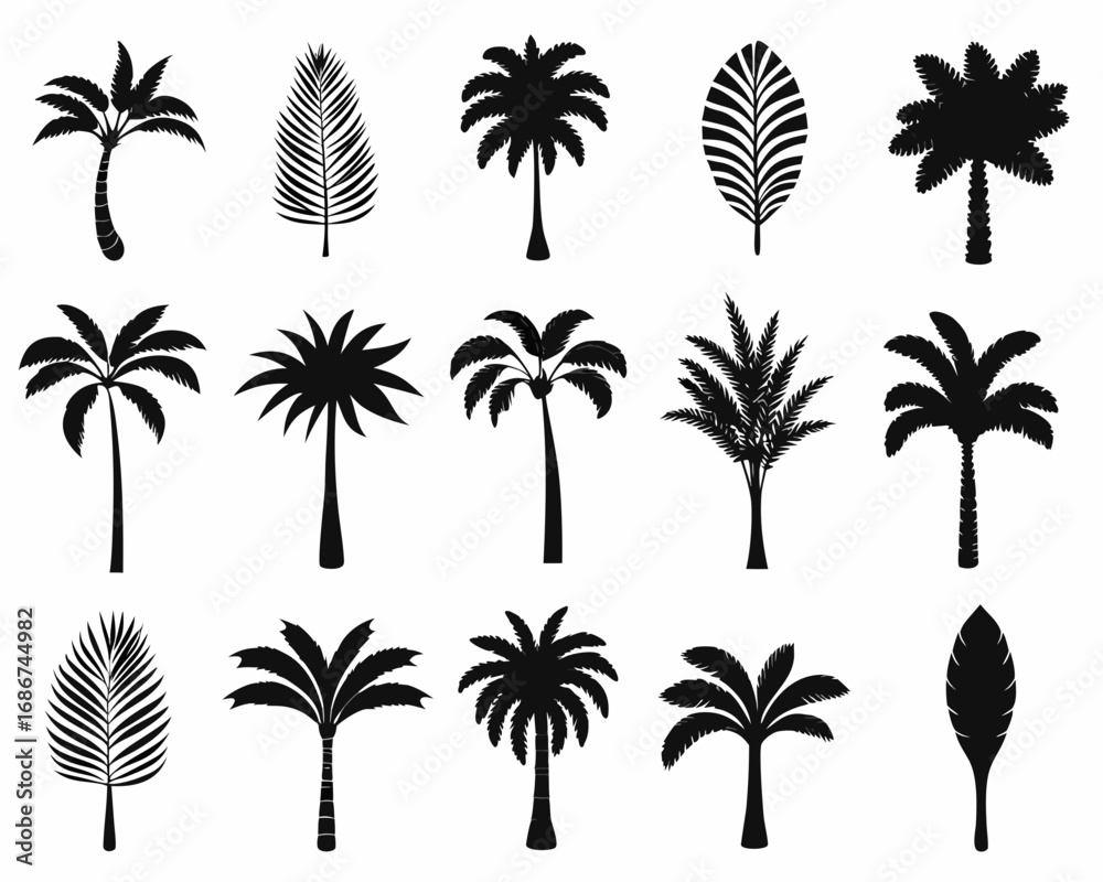 Obraz premium Collection of diverse black palm tree silhouettes and palm leaves