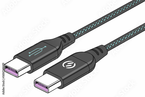 Two black U S B C cables with teal patterned sleeves and purple connectors usb c cable usb type c