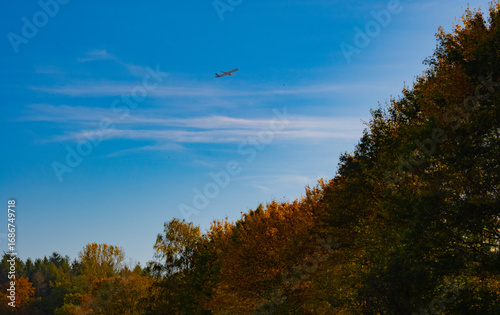 Autumn forest and plane 